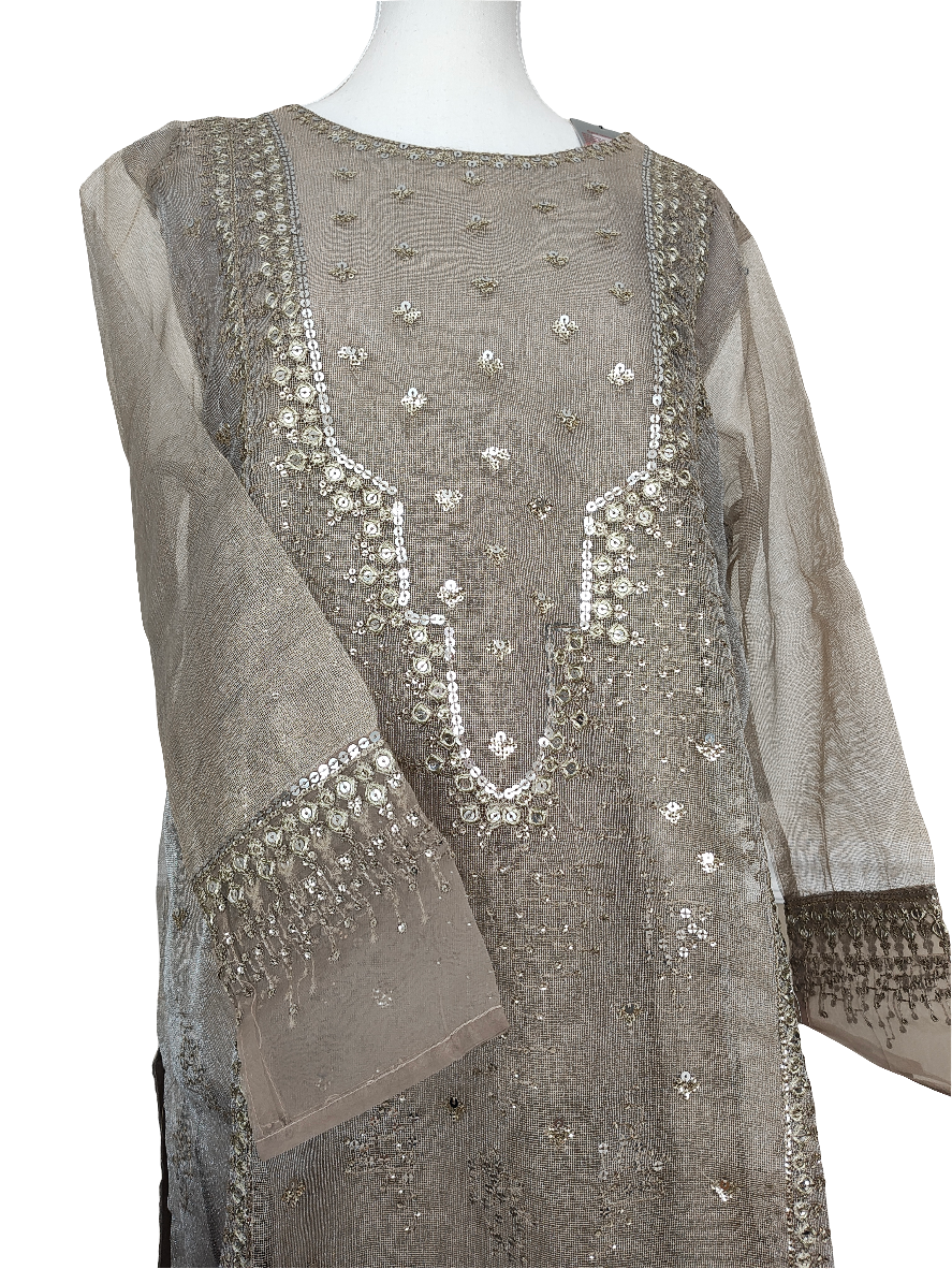 Net 2 piece large embroidered suit